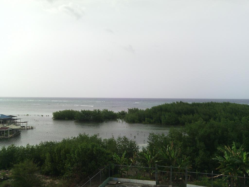 Hotel Tropik Leadonna Montego Bay Kültér fotó